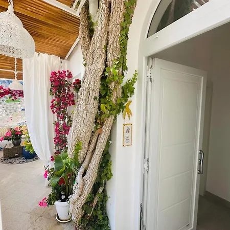 Guest house Belvedere Exclusive