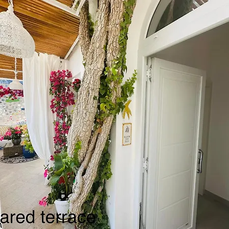 Guest house Belvedere Exclusive