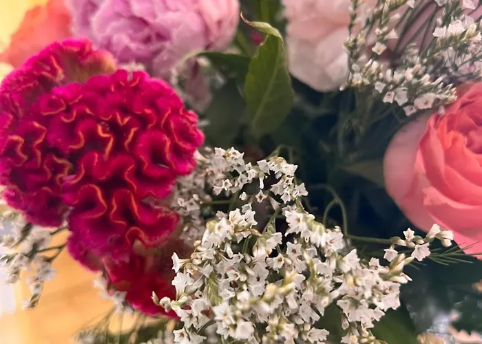 Belvedere Exclusive 4*