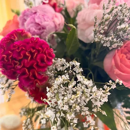 Belvedere Exclusive 4*