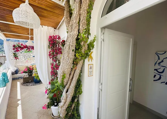 Guest house Belvedere Exclusive